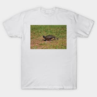 Jogging Turtle Style T-Shirt